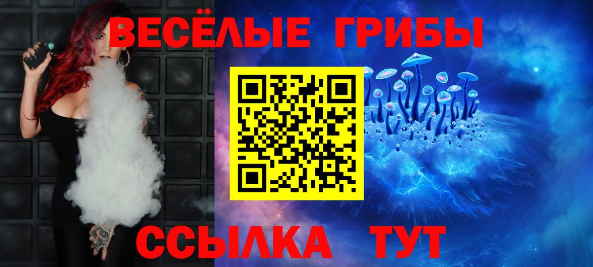 Сланцы  Галлюциногенные грибы Cubensis  Вход с VPN 