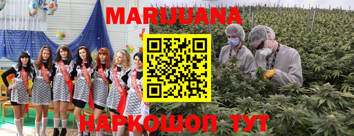 Марихуана SATIVA & INDICA  Бошки марихуана планчик  Вход с VPN  Канабис индика  Сланцы 